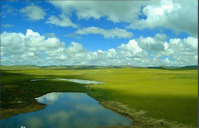 走进西藏，走进那最圣洁的地方之那曲草原——色彩斑斓的锦缎画
